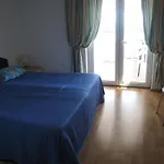 1 Pula