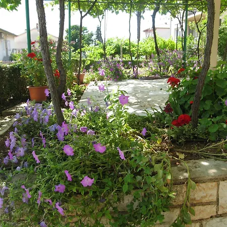 1 Guest house