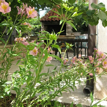 1 Guest house *